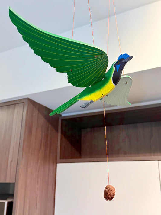 Carriqui Black Jay Flying Mobile