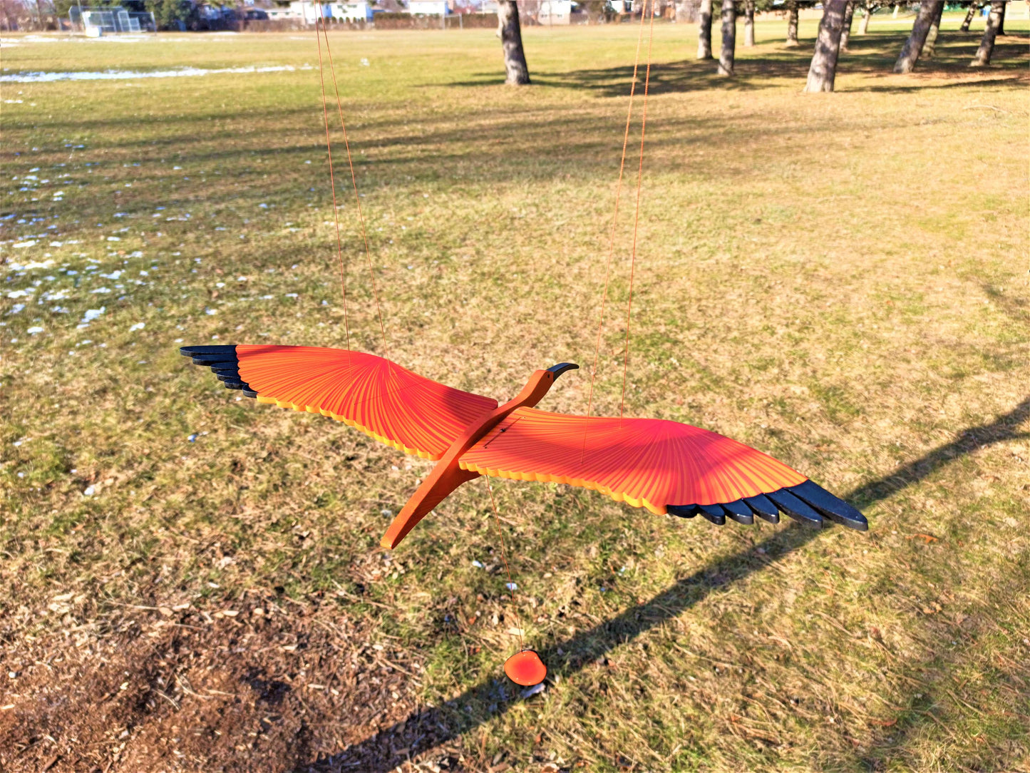 Scarlet Ibis Flying Mobile