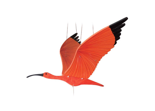 Scarlet Ibis  Flying Mobile