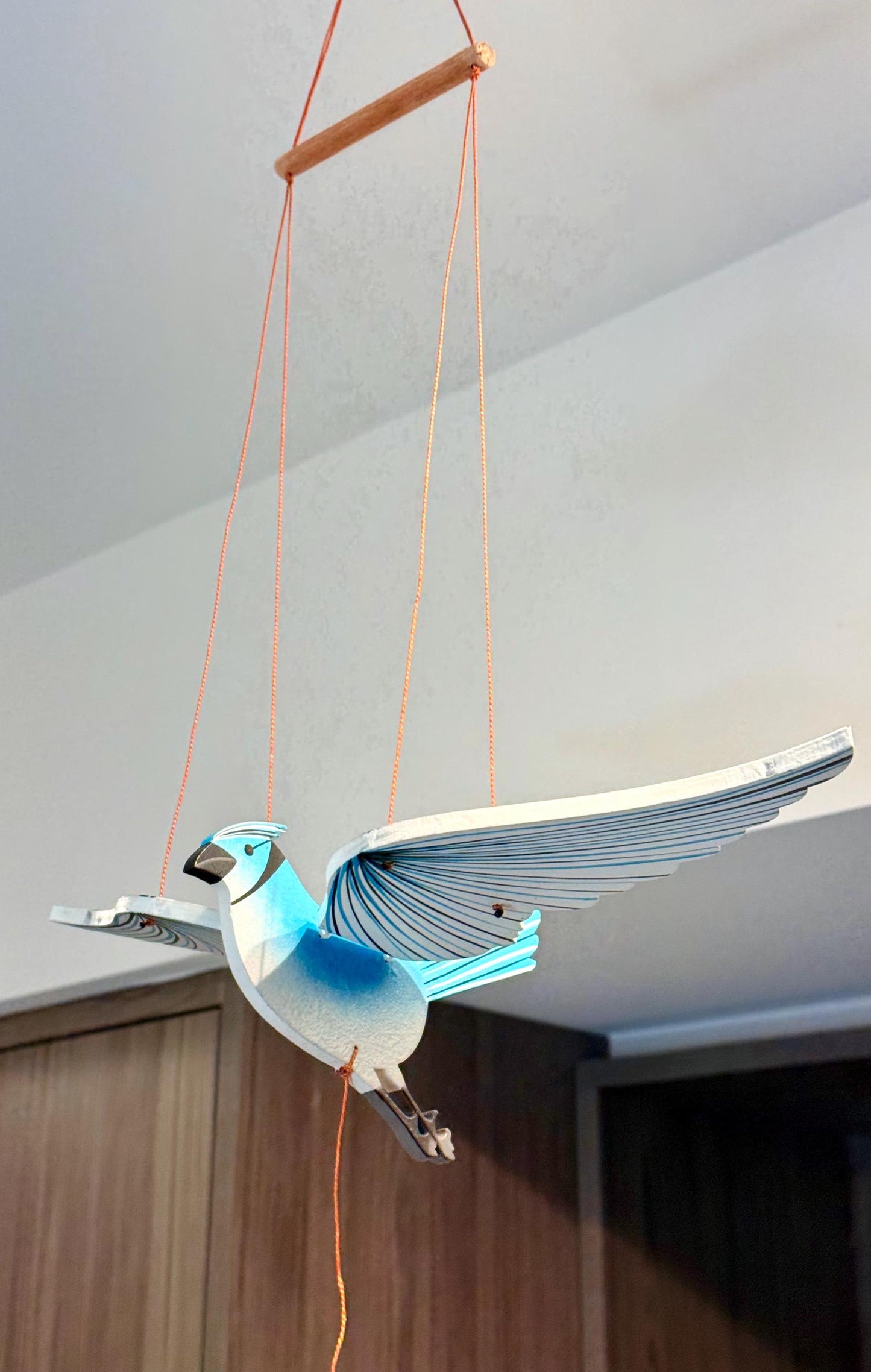Blue Jay Flying Mobile