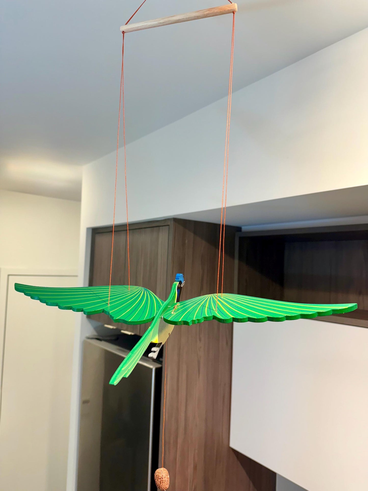 Carriqui Black Jay Flying Mobile