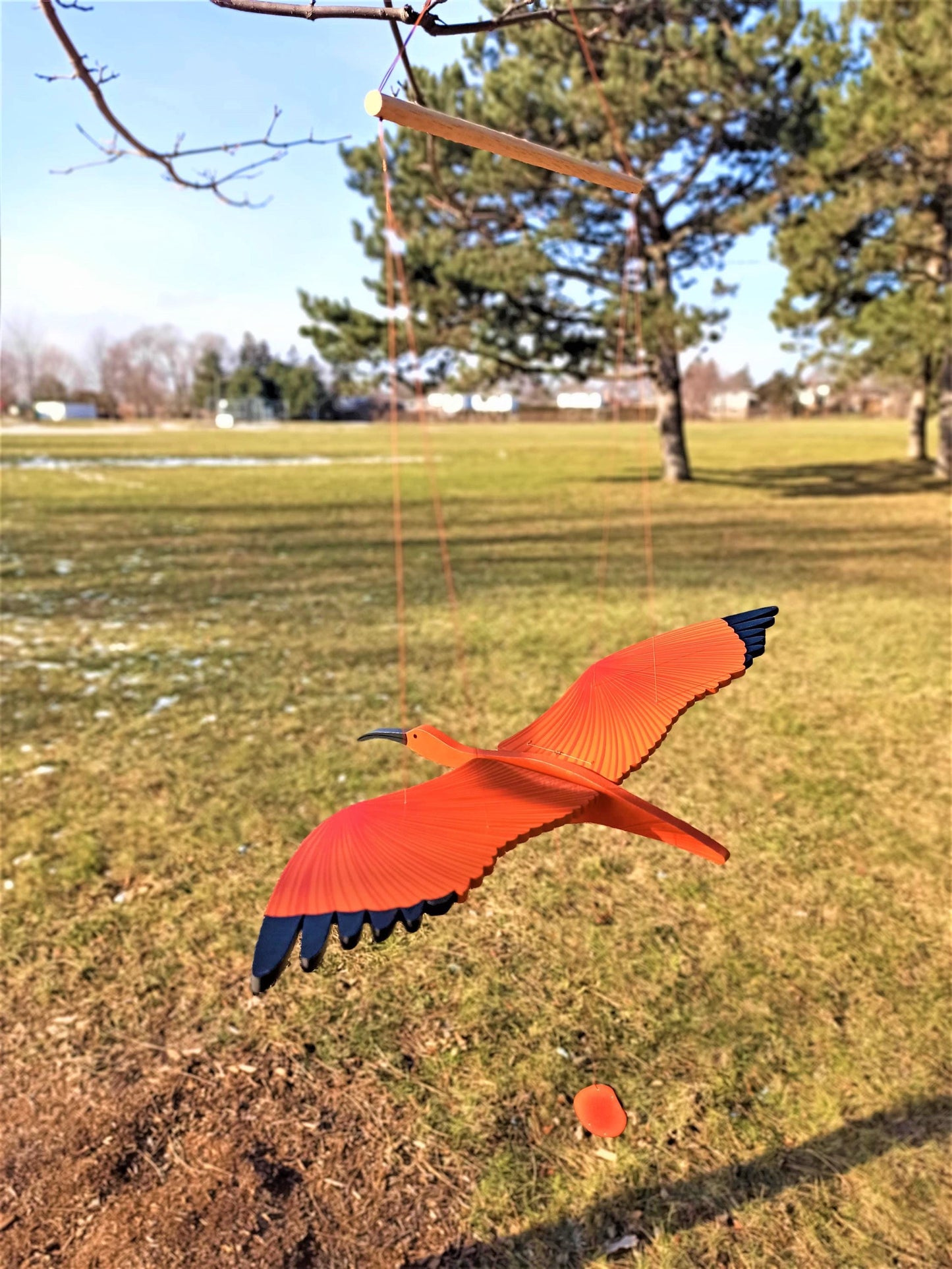 Scarlet Ibis  Flying Mobile