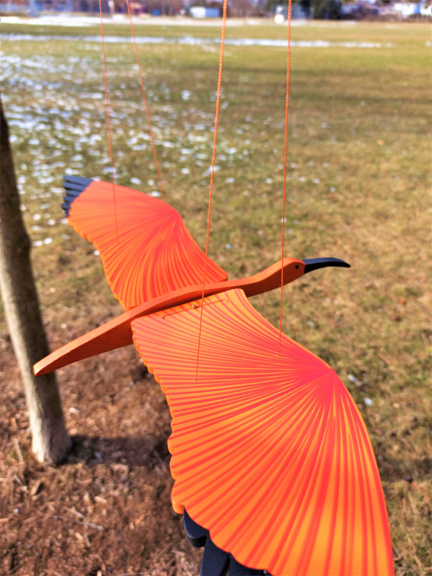 Scarlet Ibis  Flying Mobile