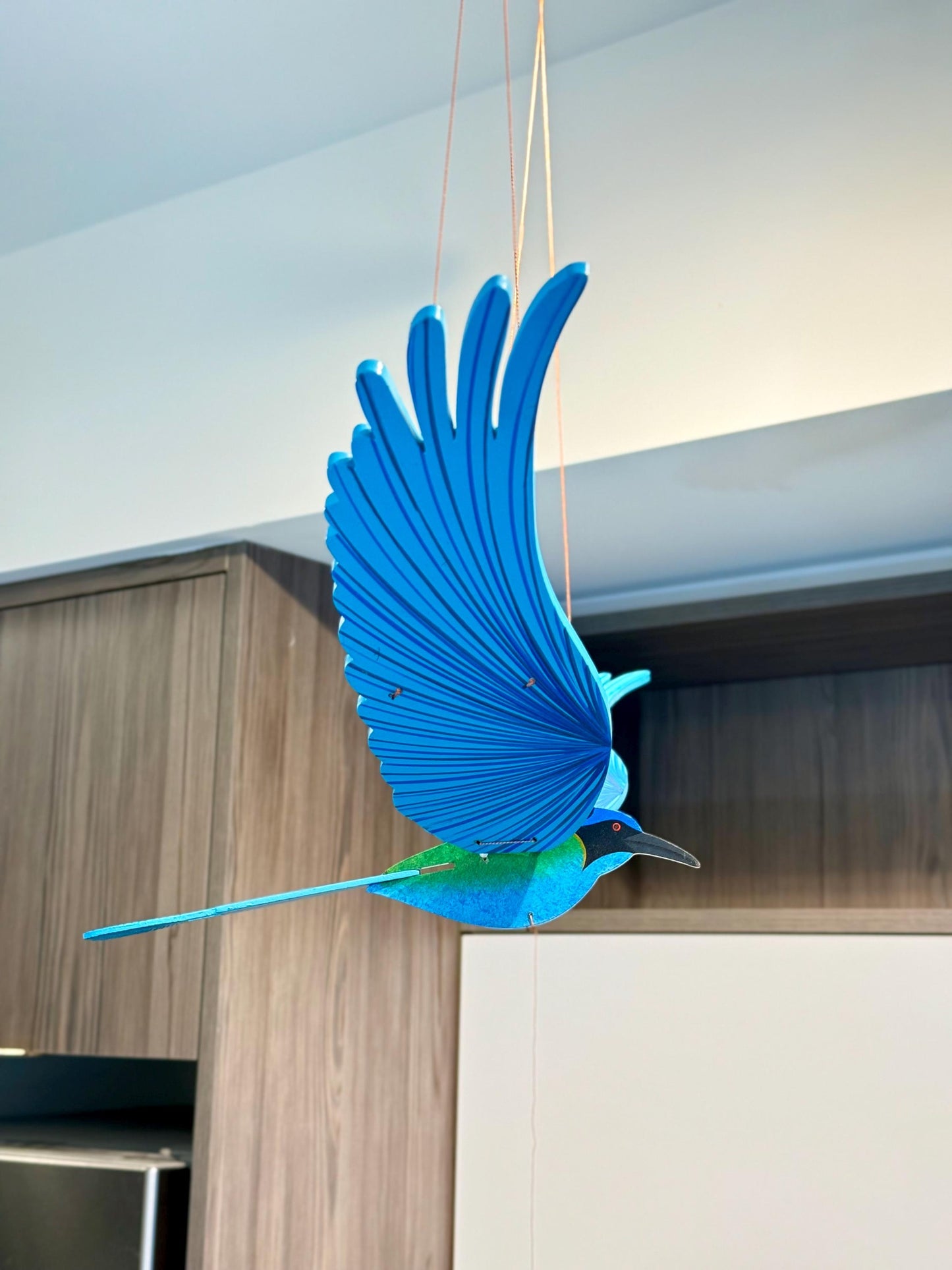 Amazonian Momotus Flying Mobile