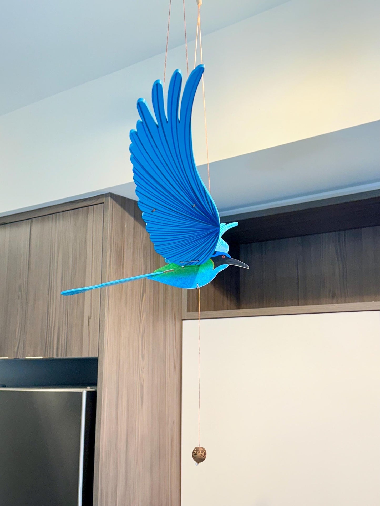 Amazonian Momotus Flying Mobile