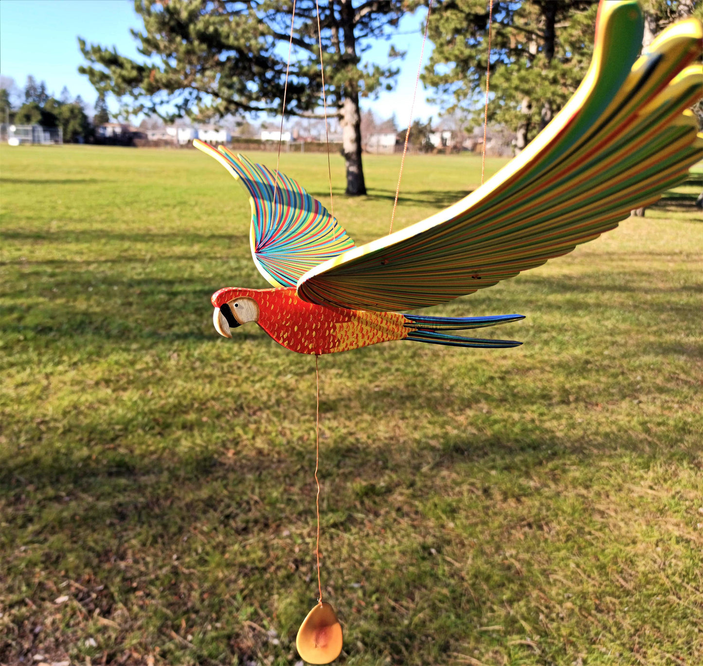 Parrot Macaw Flying Mobile