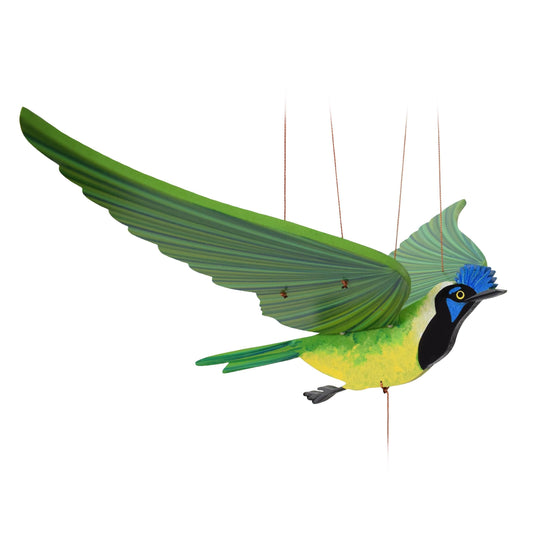 Carriqui Black Jay Flying Mobile