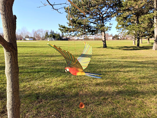 Parrot Macaw Flying Mobile