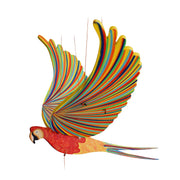 Parrot Macaw Flying Mobile