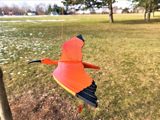 Scarlet Ibis  Flying Mobile
