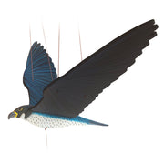 Peregrine Falcon Flying Mobile