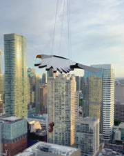 Eagle Flying Mobile